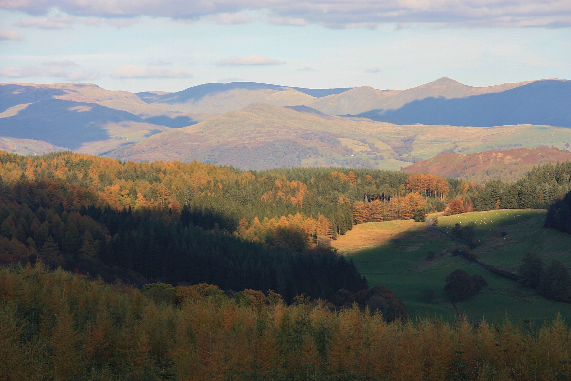 Grizedale Forest