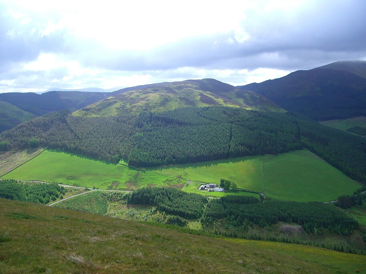 Whinlatter Forest Park