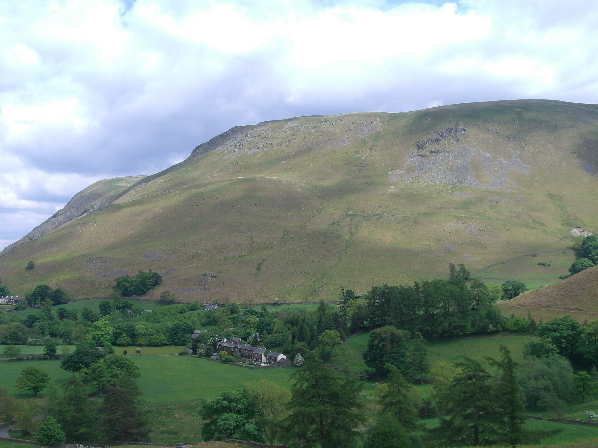 Bonscale Pike