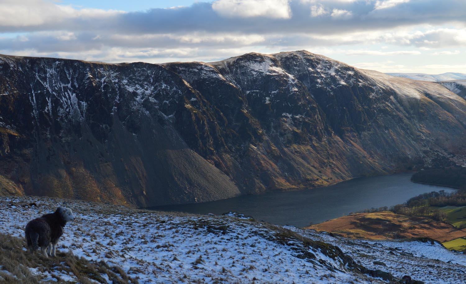 Whin Rigg